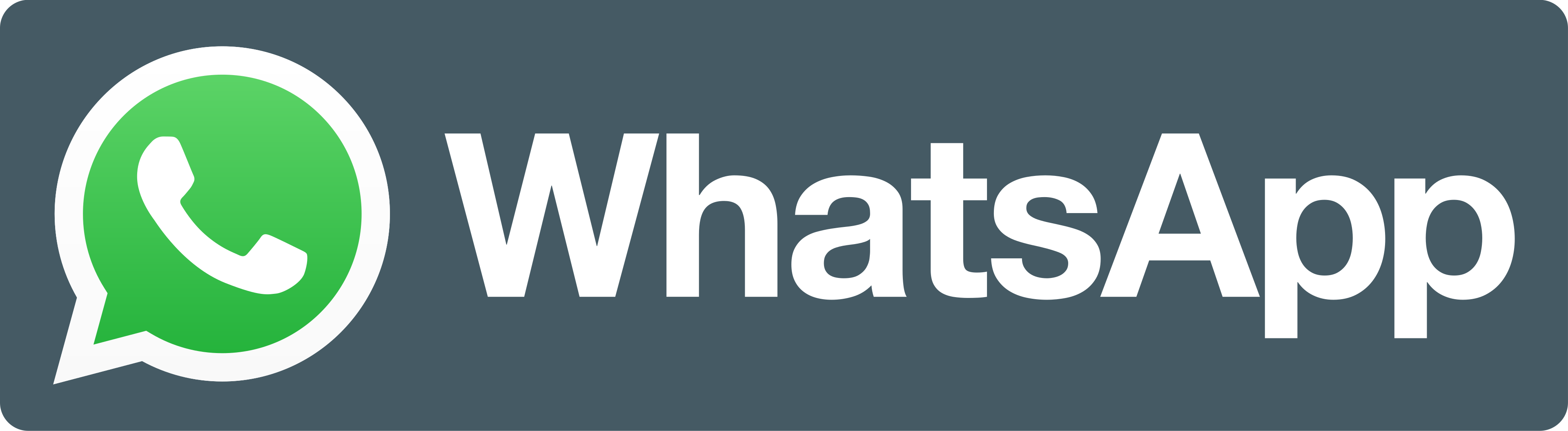 Business WhatsApp logo